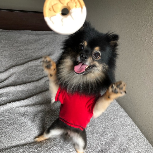 Meet your Posher, Donna - Picture 5 of 7